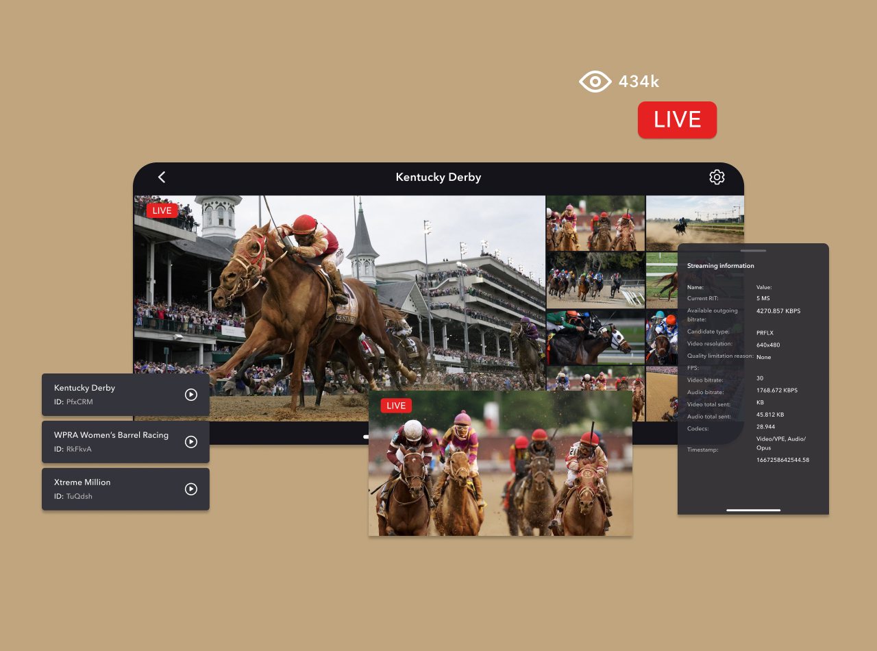 Dolby, Interactive Multiviewer